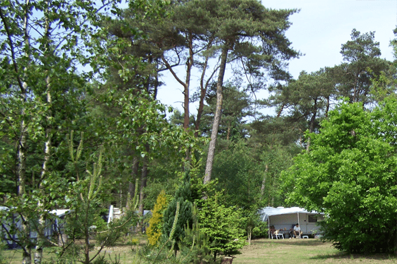 natuurcamping fazantenhof