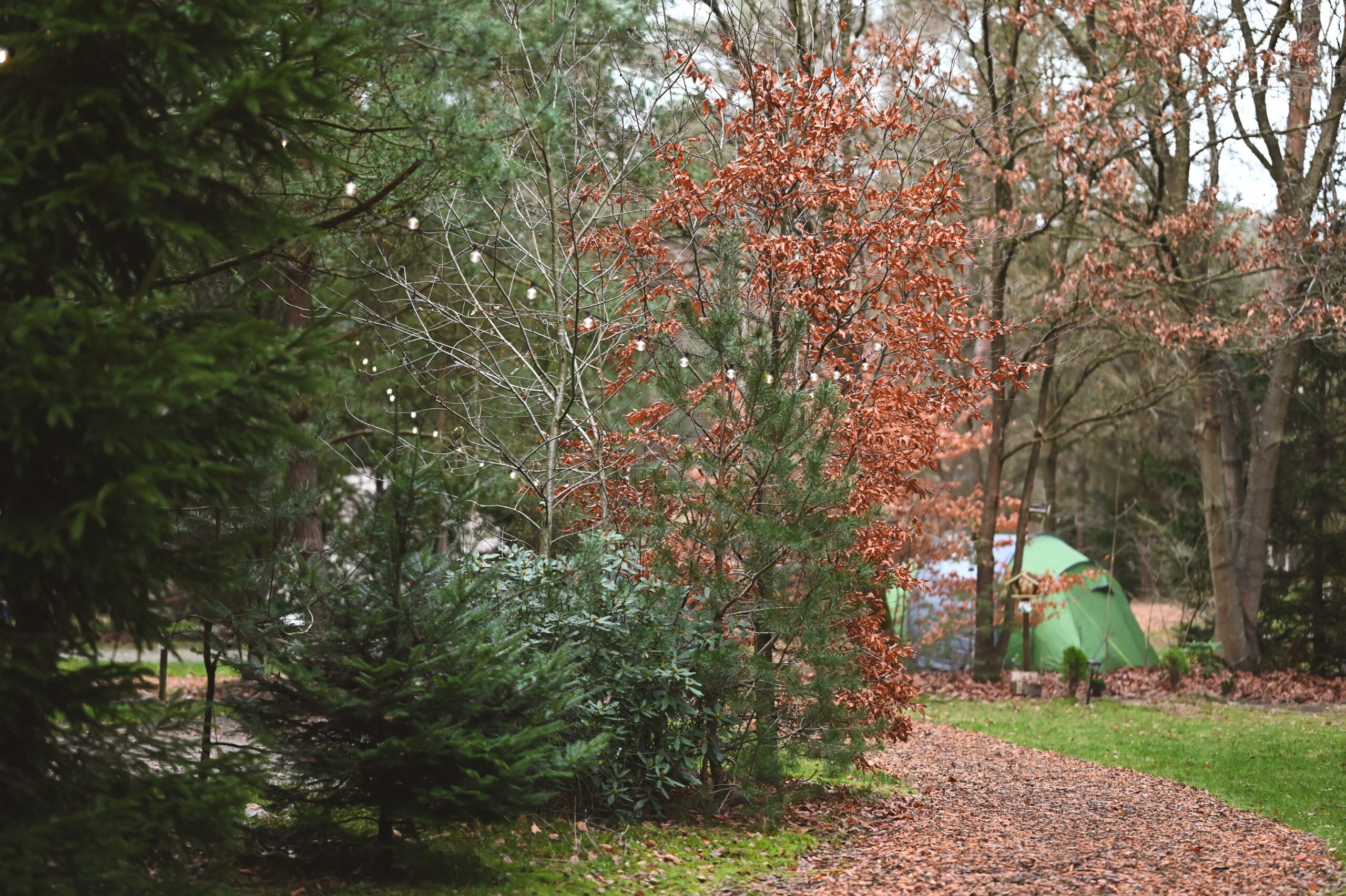 omgeving natuurcamping